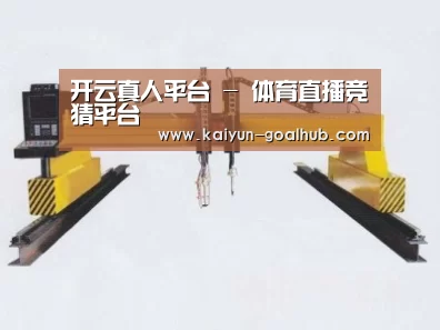 产品名称十八