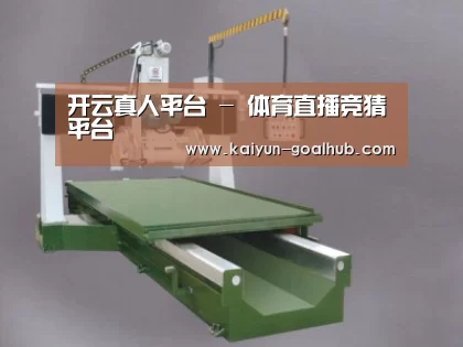 产品名称九
