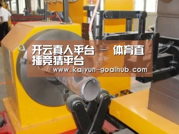 产品名称十三