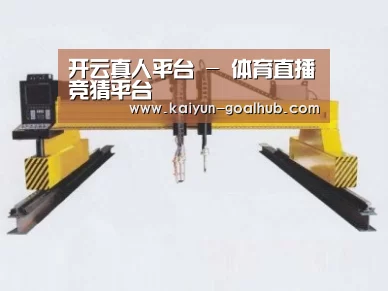 产品名称十九