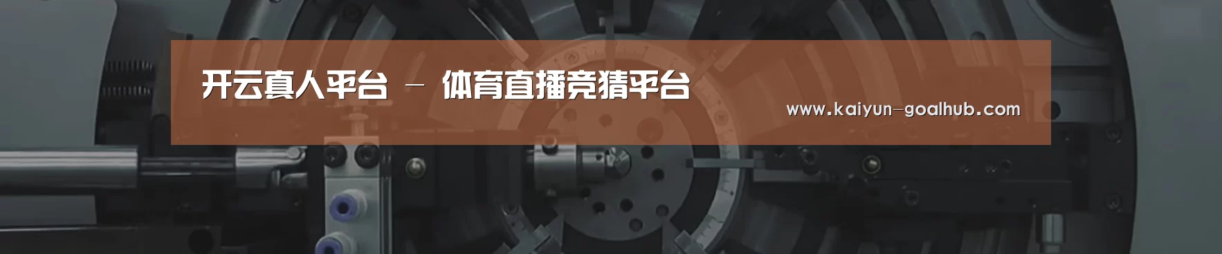 某某机械公司