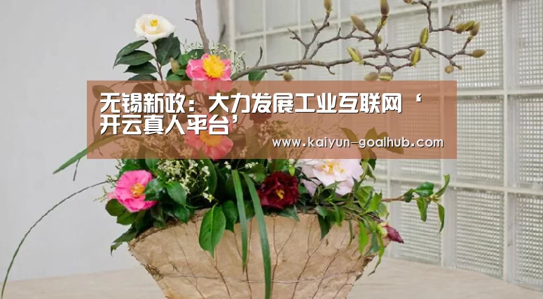 无锡新政:大力发展工业互联网‘开云真人平台’(图1) 开云滚球
