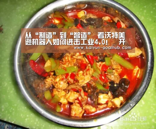 从“制造”到“智造” 看沃特美逊机器人如何进击工业4.0!_ 开云捕鱼(图1) 开云捕鱼