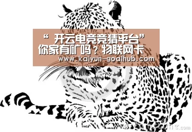 “ 开云电竞竞猜平台”你家有矿吗?物联网卡助力采矿业的智能发展(图3) 开云真人平台