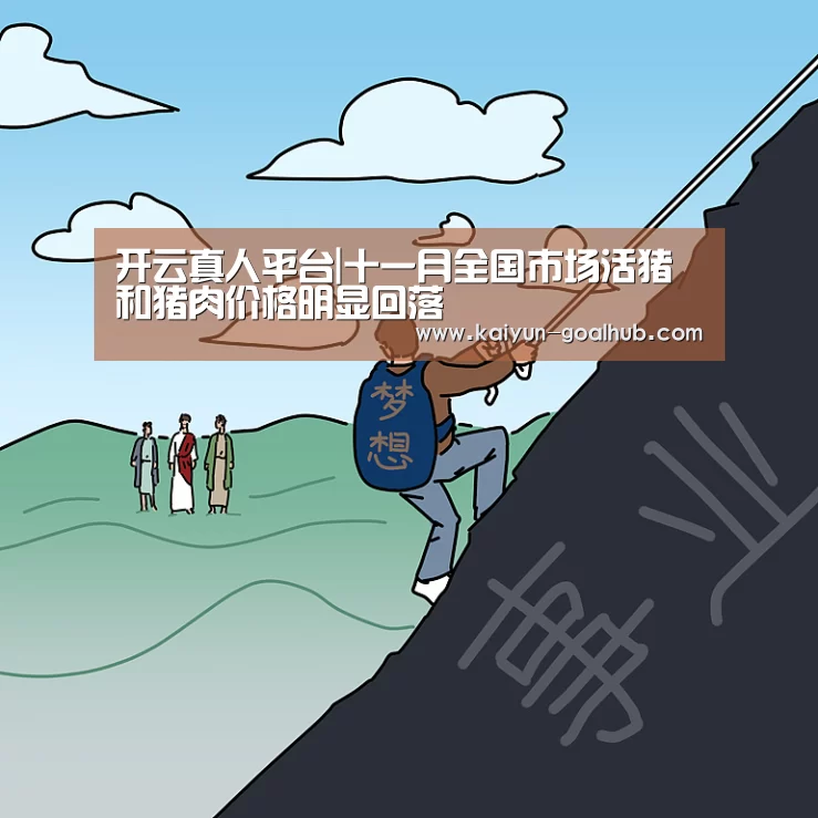 开云真人平台|十一月全国市场活猪和猪肉价格明显回落(图3) 开云滚球