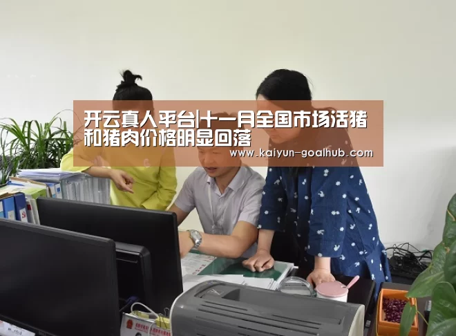 开云真人平台|十一月全国市场活猪和猪肉价格明显回落(图1) 开云滚球