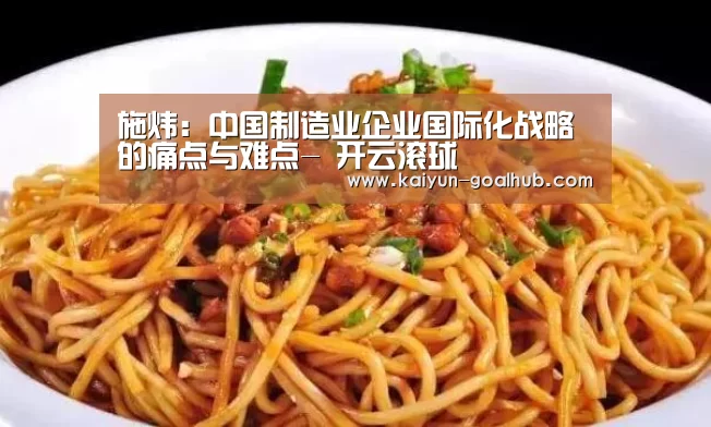 施炜:中国制造业企业国际化战略的痛点与难点- 开云滚球(图3) 开云滚球