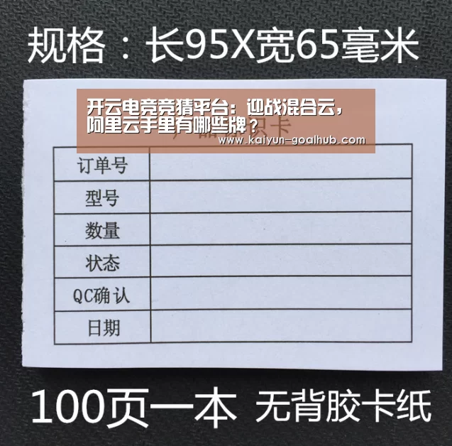 开云电竞竞猜平台:迎战混合云,阿里云手里有哪些牌?(图2) 开云真人平台