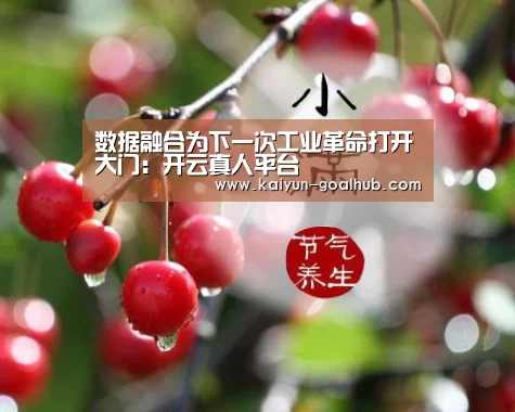 数据融合为下一次工业革命打开大门:开云真人平台(图2) 开云滚球