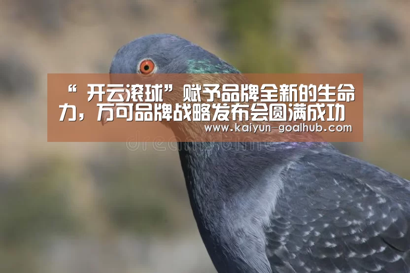 “ 开云滚球”赋予品牌全新的生命力,万可品牌战略发布会圆满成功(图3) 开云滚球