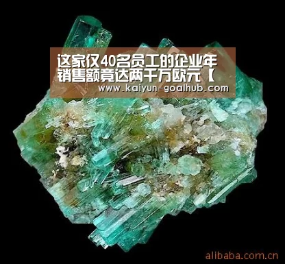 开云滚球