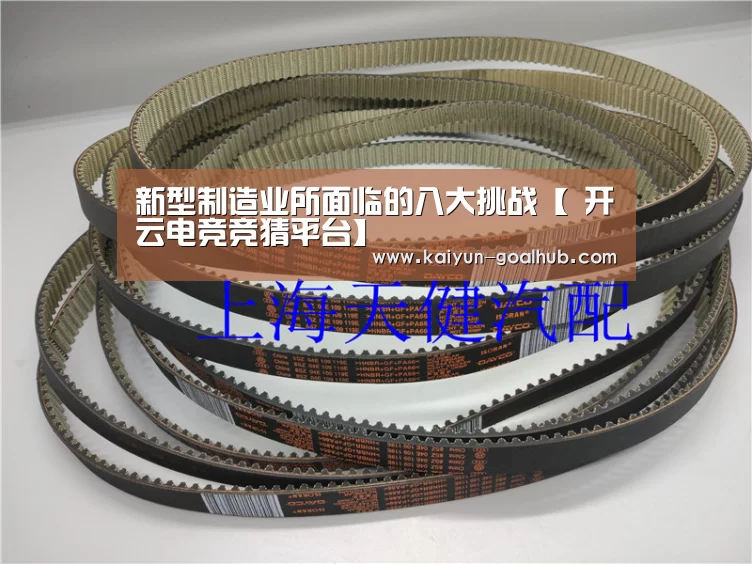 新型制造业所面临的八大挑战【 开云电竞竞猜平台】(图3) 开云捕鱼
