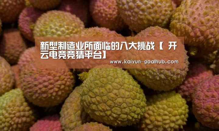 新型制造业所面临的八大挑战【 开云电竞竞猜平台】(图2) 开云捕鱼
