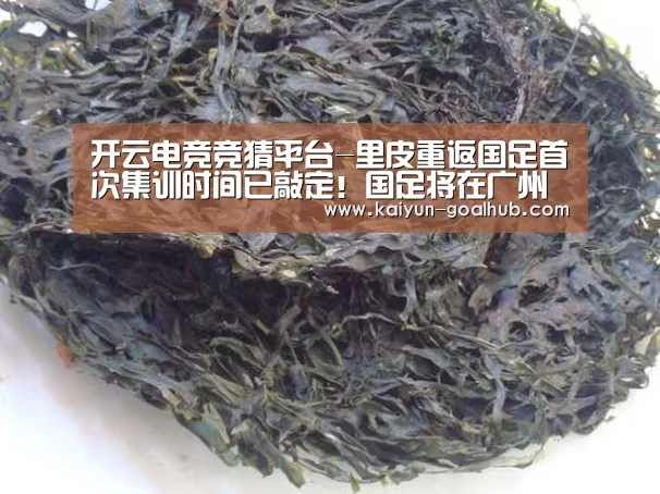 开云电竞竞猜平台-里皮重返国足首次集训时间已敲定!国足将在广州再次吹响集结号(图3) 开云真人平台