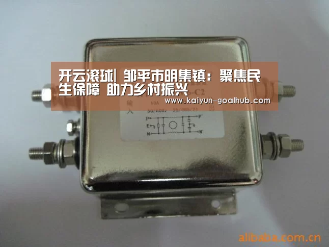 开云滚球|
邹平市明集镇:聚焦民生保障 助力乡村振兴(图2) 开云真人平台