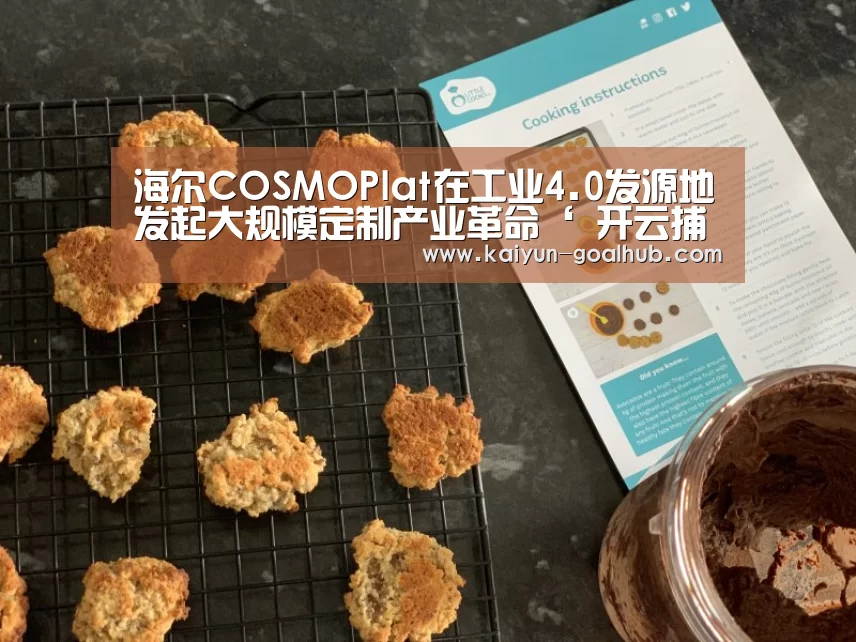 海尔COSMOPlat在工业4.0发源地发起大规模定制产业革命‘ 开云捕鱼’(图2) 开云滚球